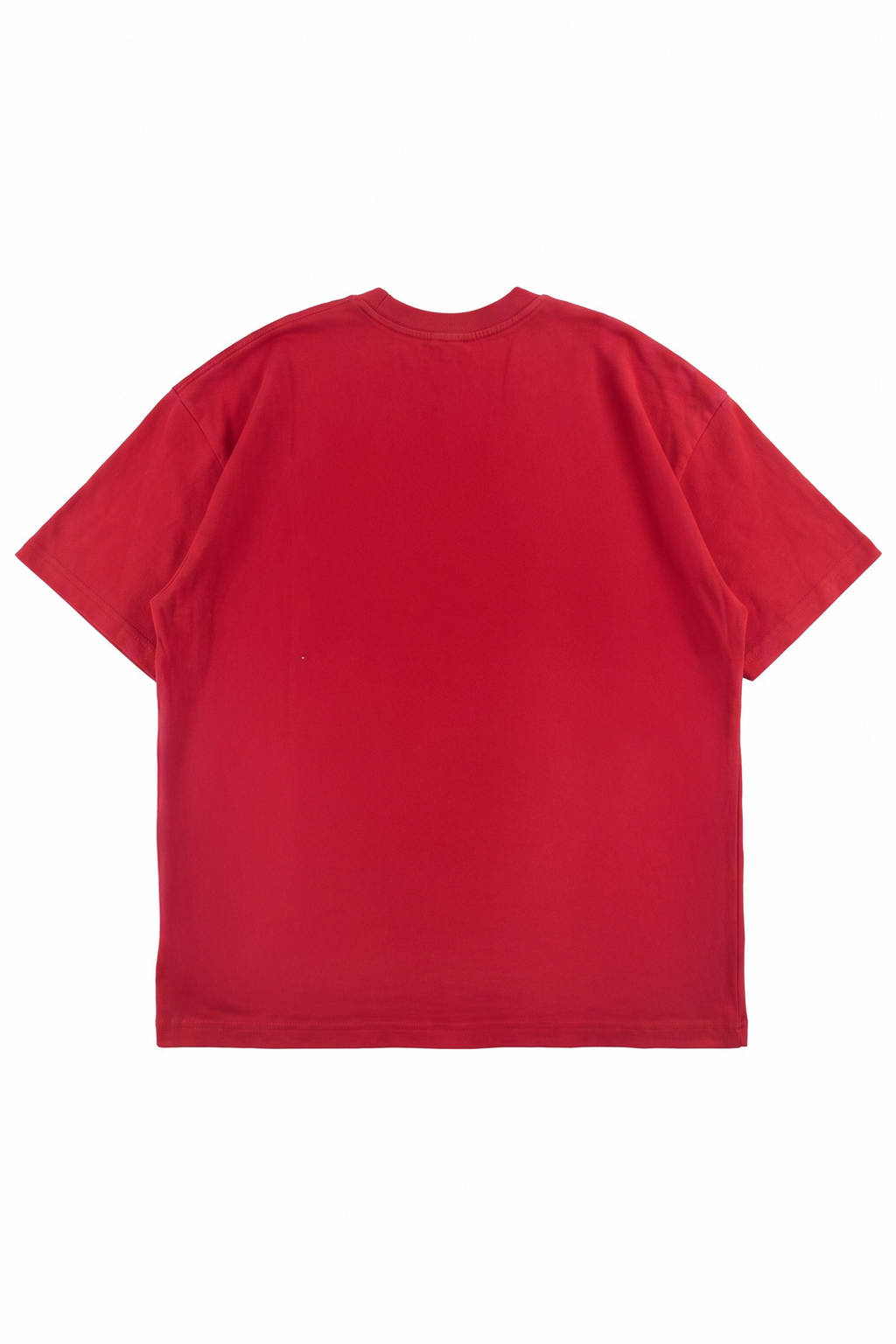 Legacy oversized graphic tee in Samba red heavyweight cotton with a ribbed crewneck collar