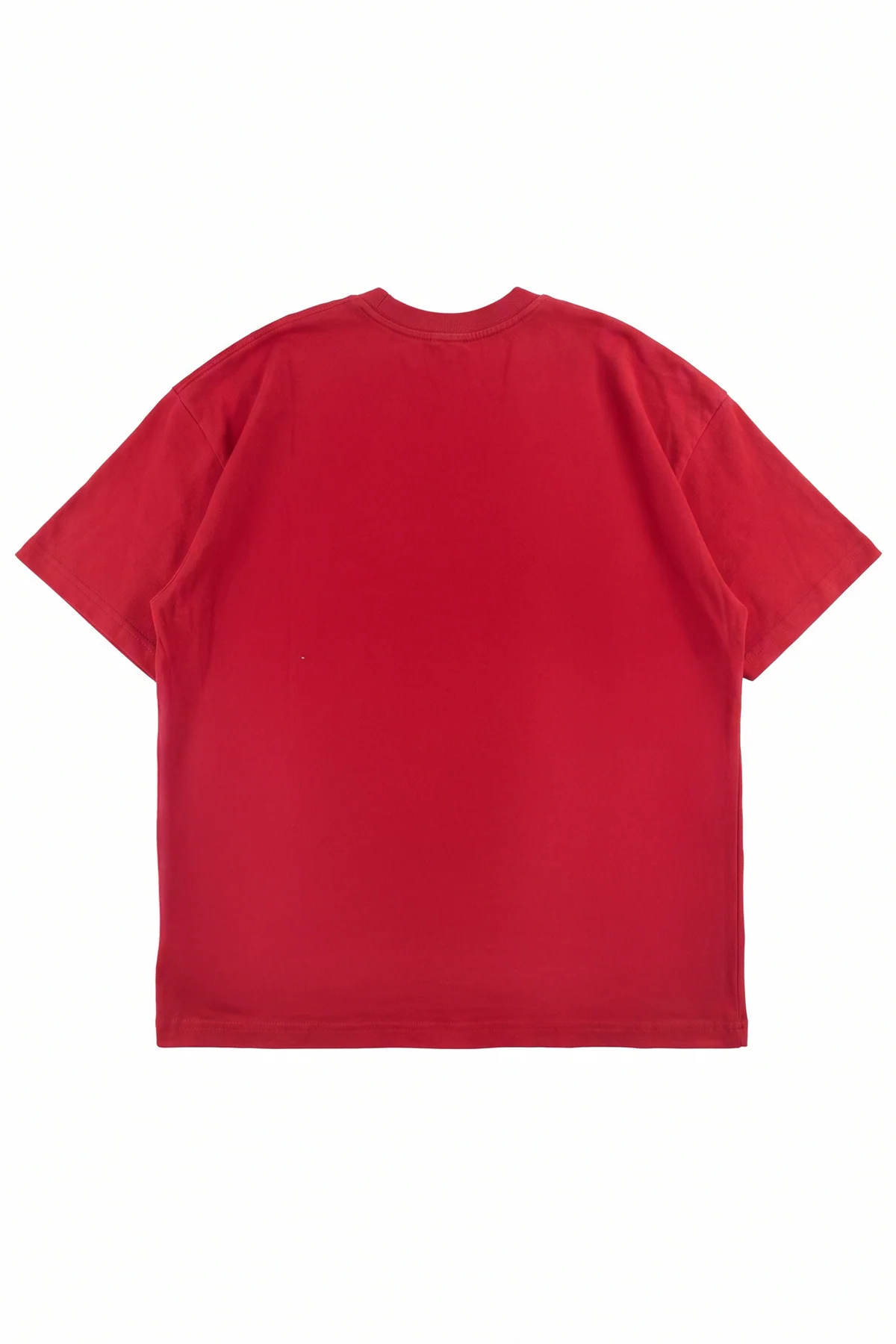 Legacy oversized graphic tee in Samba red heavyweight cotton with a ribbed crewneck collar